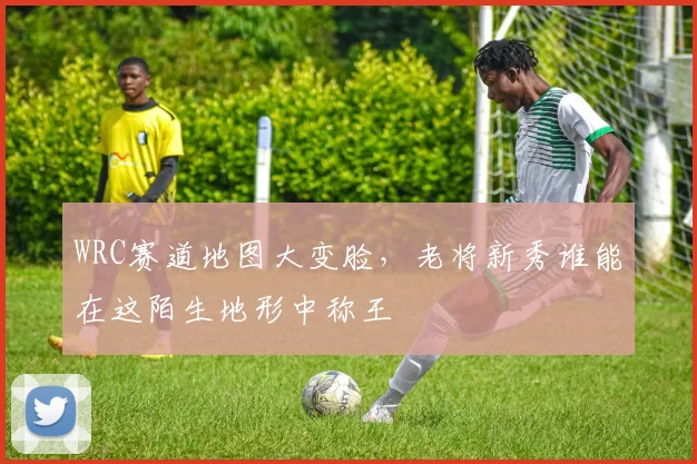 WRC赛道地图大变脸，老将新秀谁能在这陌生地形中称王