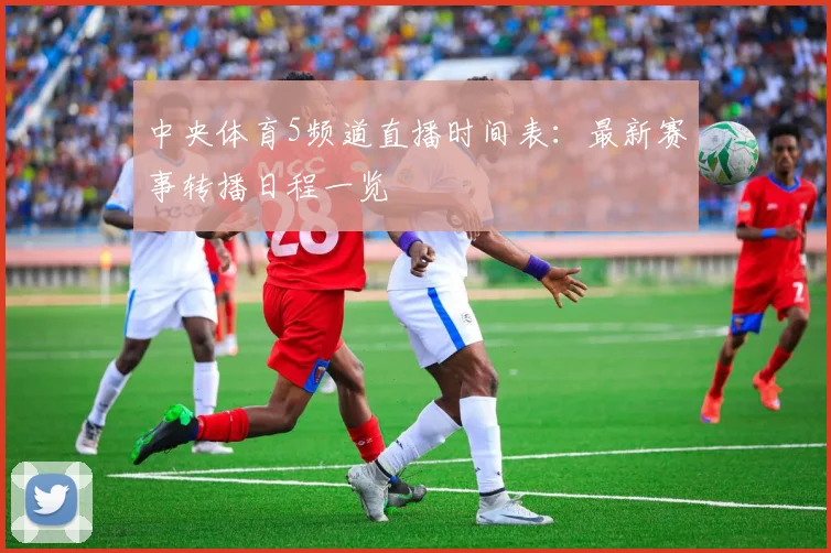中央体育5频道直播时间表：最新赛事转播日程一览