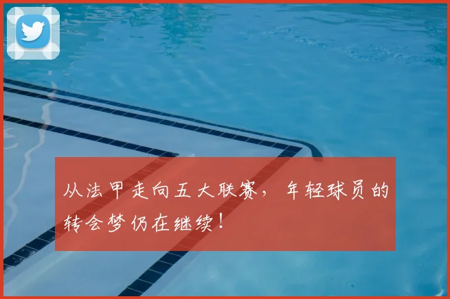 从法甲走向五大联赛，年轻球员的转会梦仍在继续！